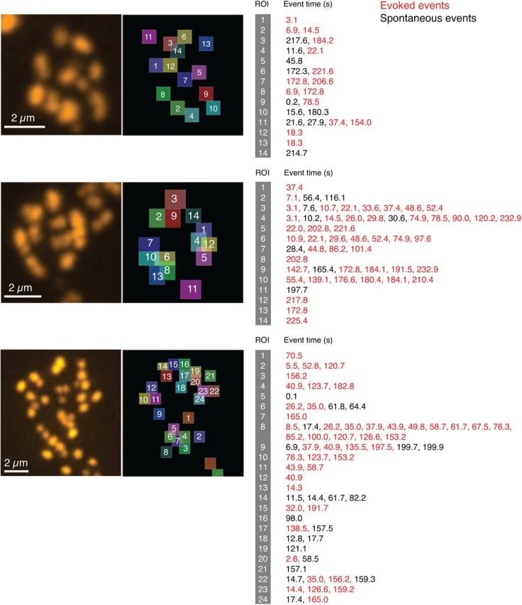 Figure 6.