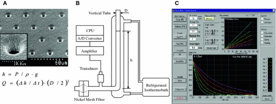 Fig. 1