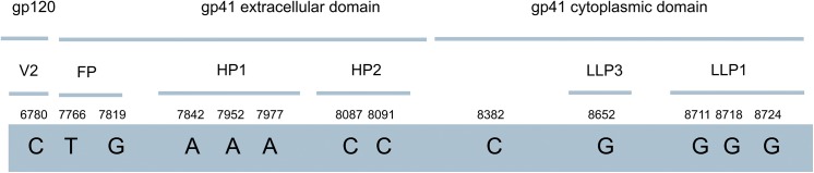 Fig 6