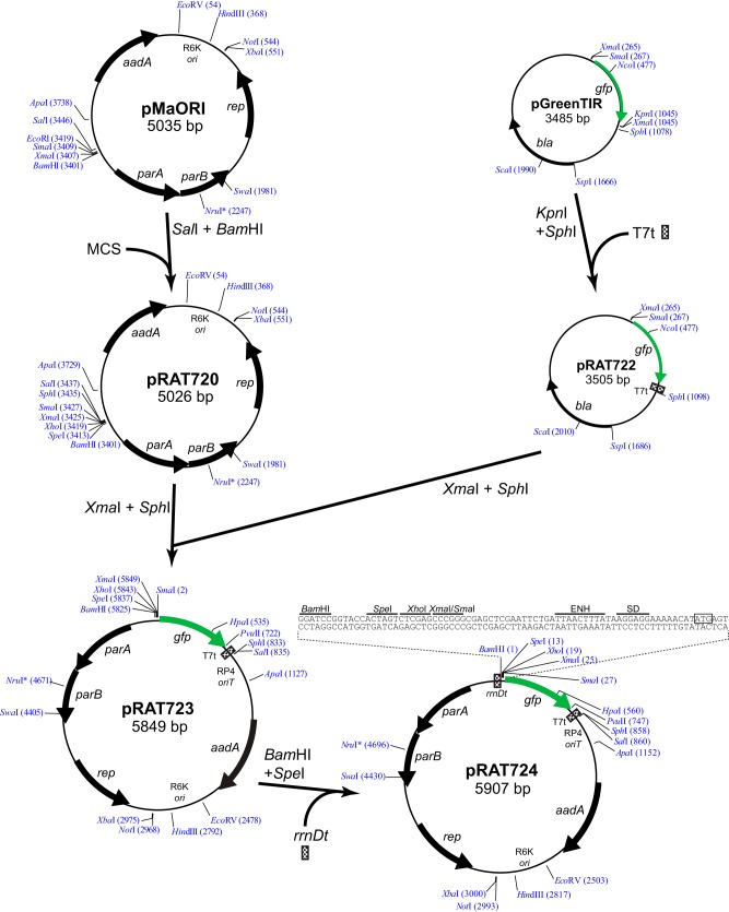 FIG 3