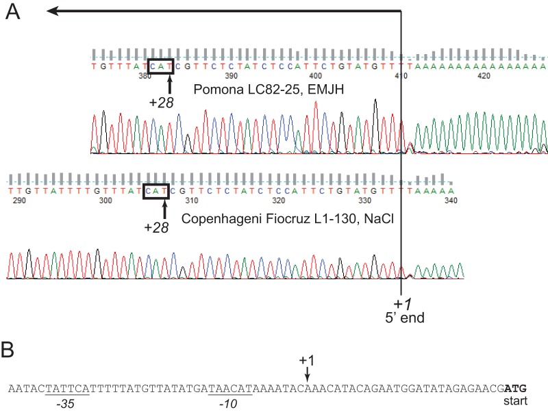 FIG 2