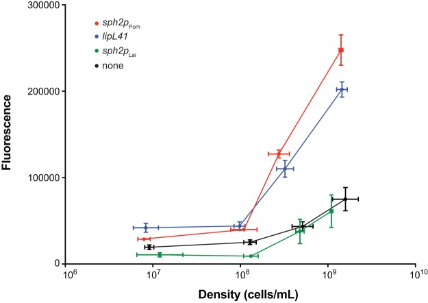 FIG 6