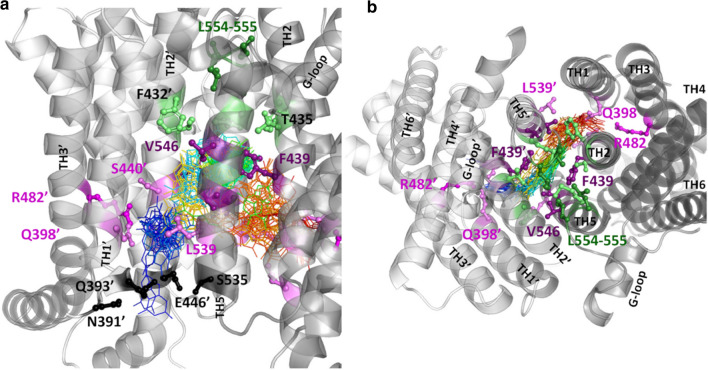 Fig. 4