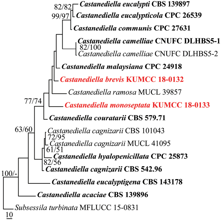 Figure 1.