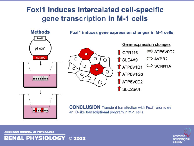graphic file with name f-00272-2022r01.jpg