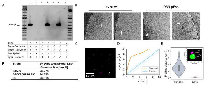 Fig.1: