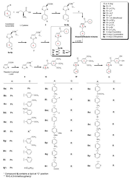 Scheme 3