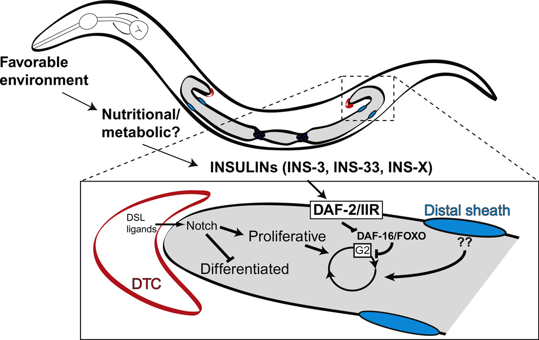 Figure 3.6