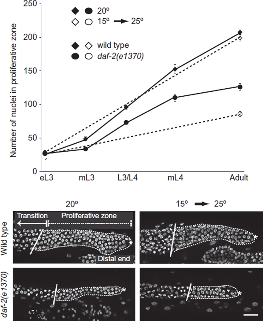 Figure 3.4