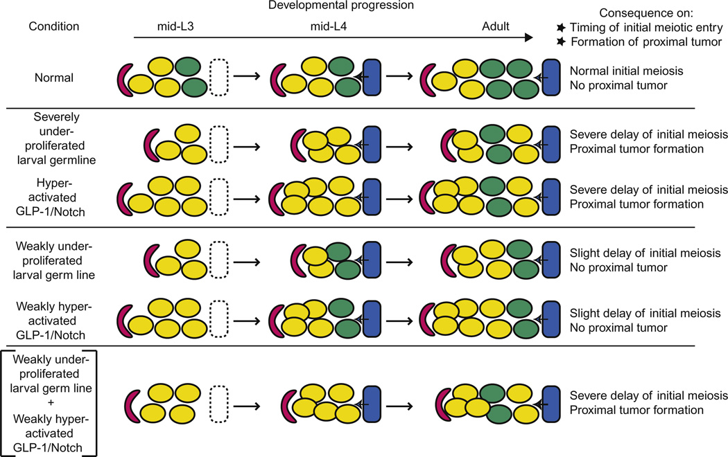 Figure 3.2