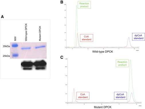 Figure 5