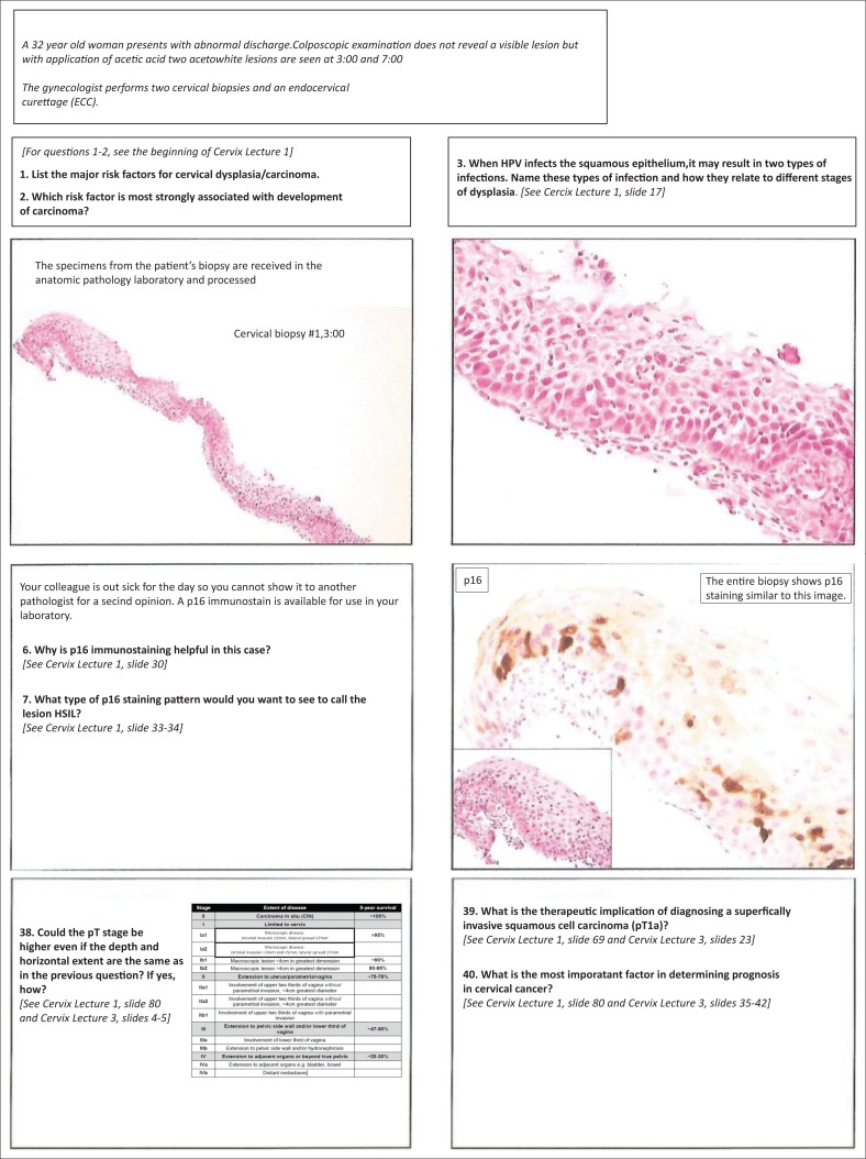 Supplementary Figure 2