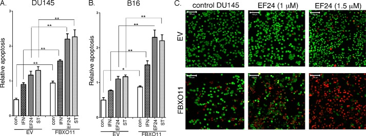 FIGURE 4.