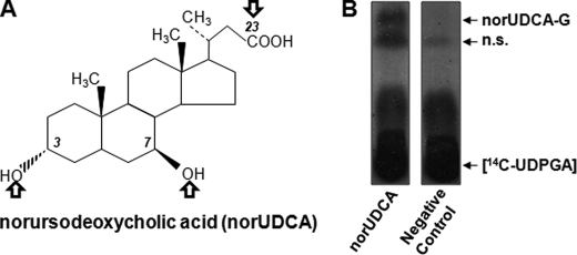 FIGURE 1.