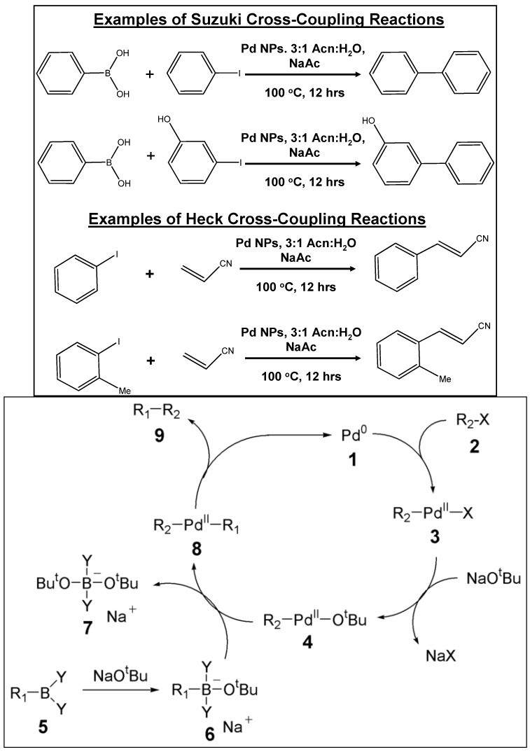 Scheme 1