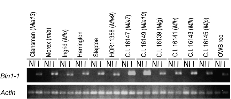 Figure 5.