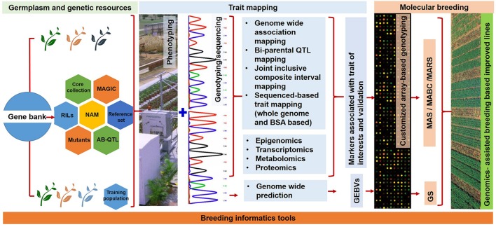 FIGURE 1