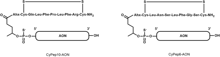 Figure 8