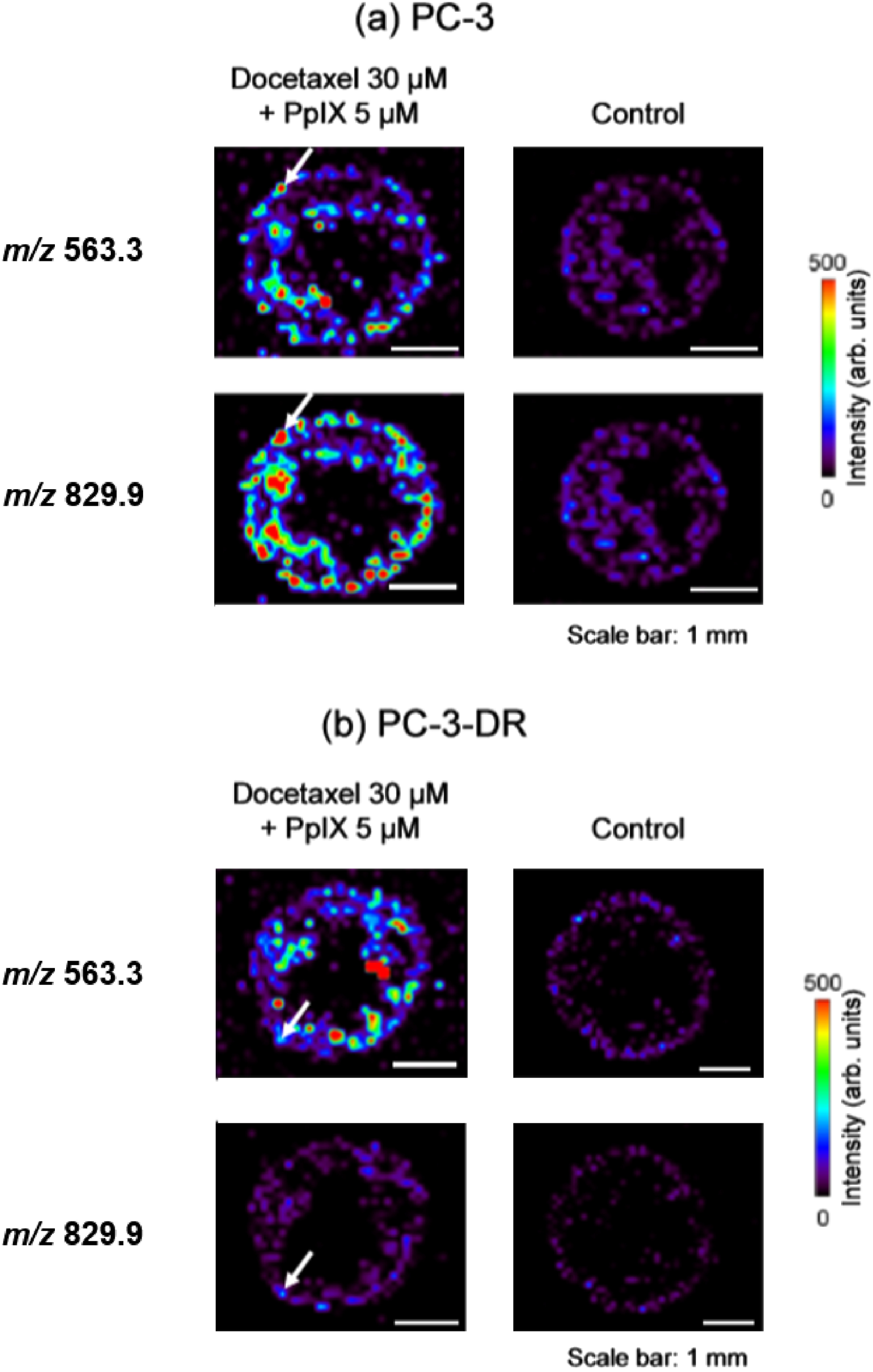 Fig. 6. Ion image in mass spectrometry obtained from (a) PC-3 and (b) PC-3-DR cells administered in 5 μM PpIX and 30 μM docetaxel when a zeolite matrix was dropped on the cells.