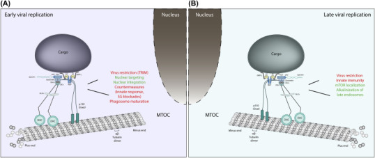 Figure 10.1