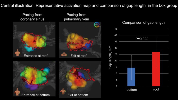 Graphical abstract