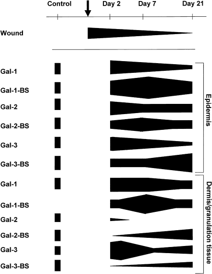 Fig. 3