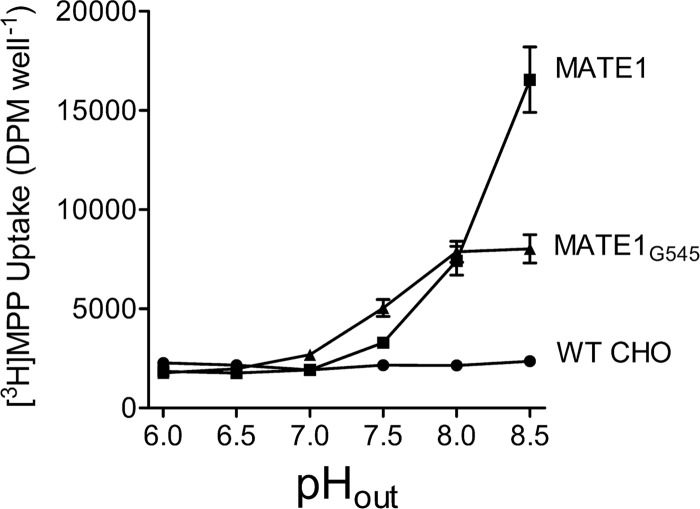 FIGURE 5.