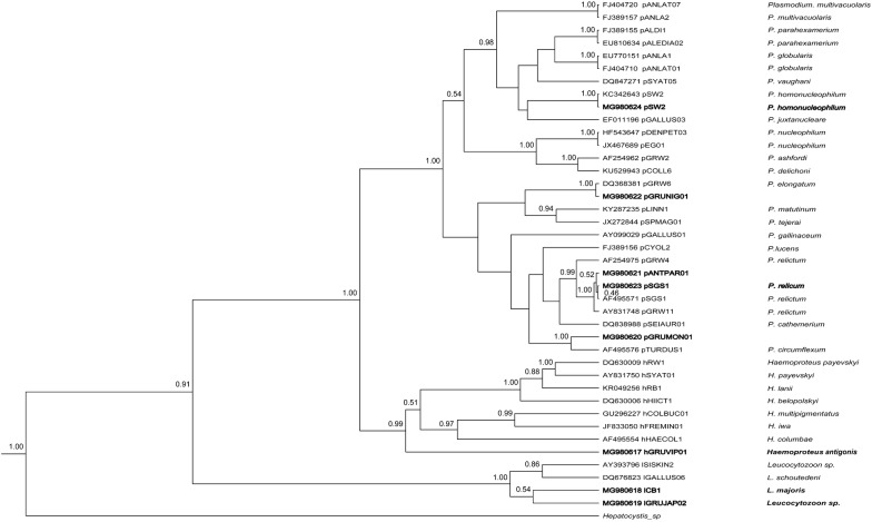 Fig. 2