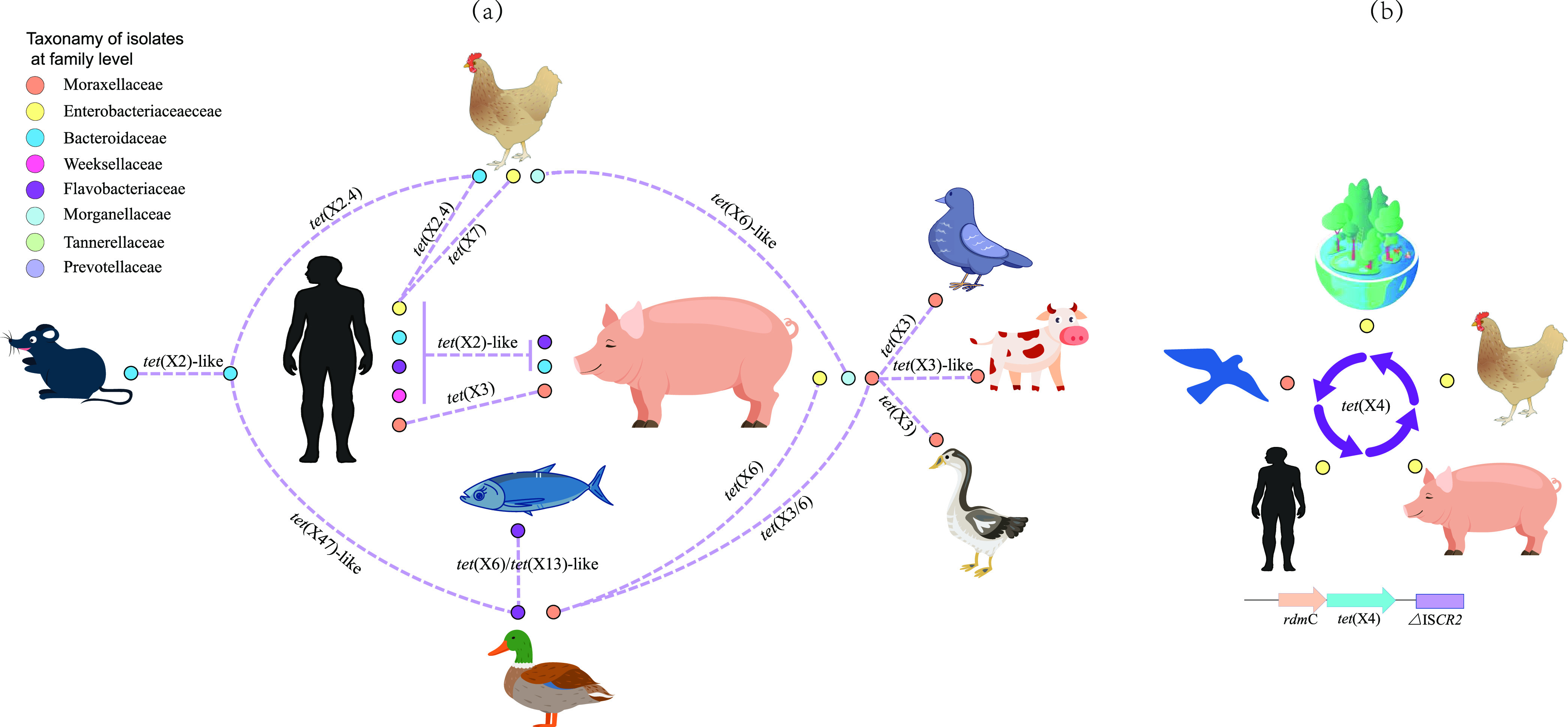 FIG 3