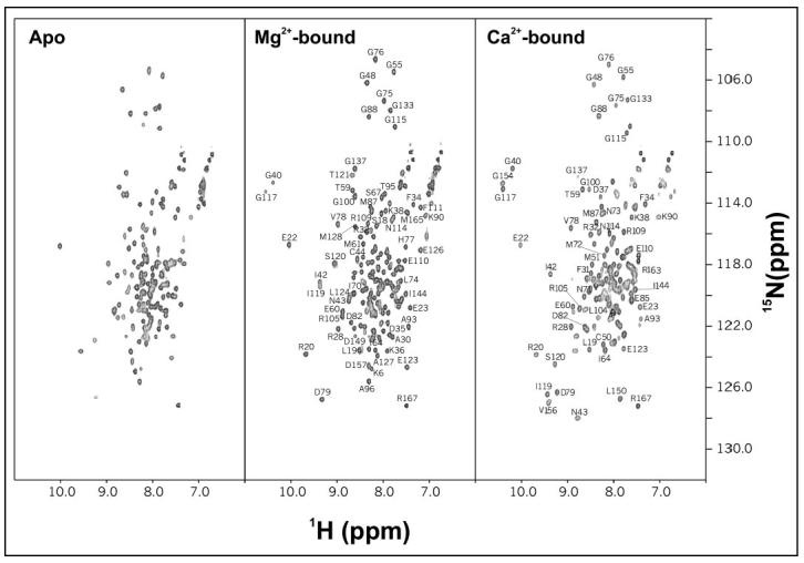 FIGURE 7.