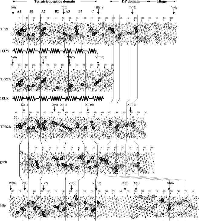 Fig. 3