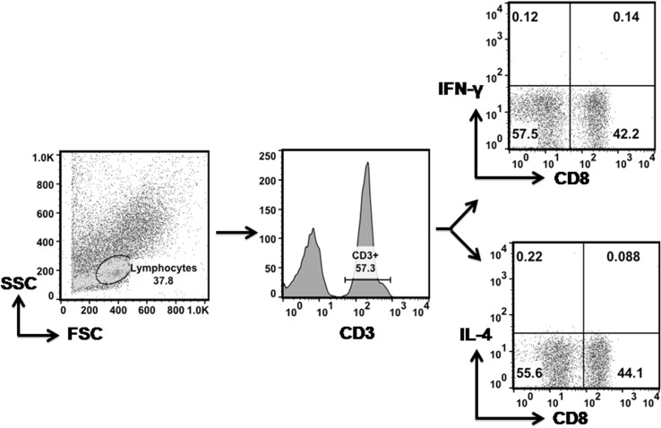 Fig. 1