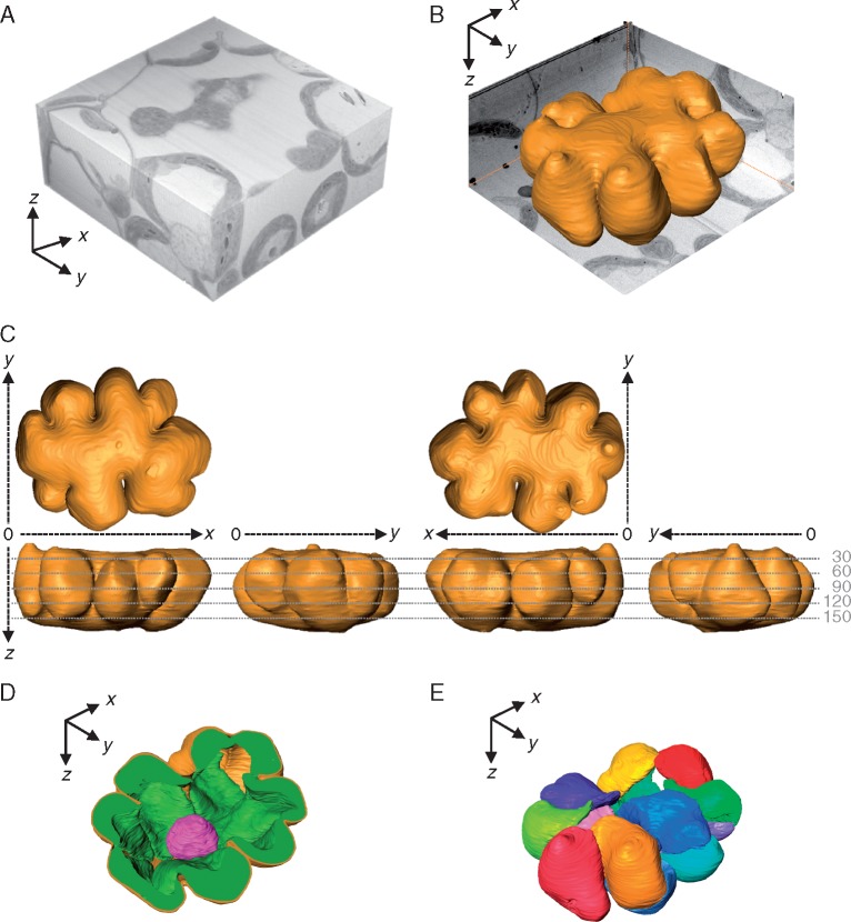 Fig. 3.