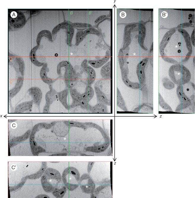 Fig. 4.