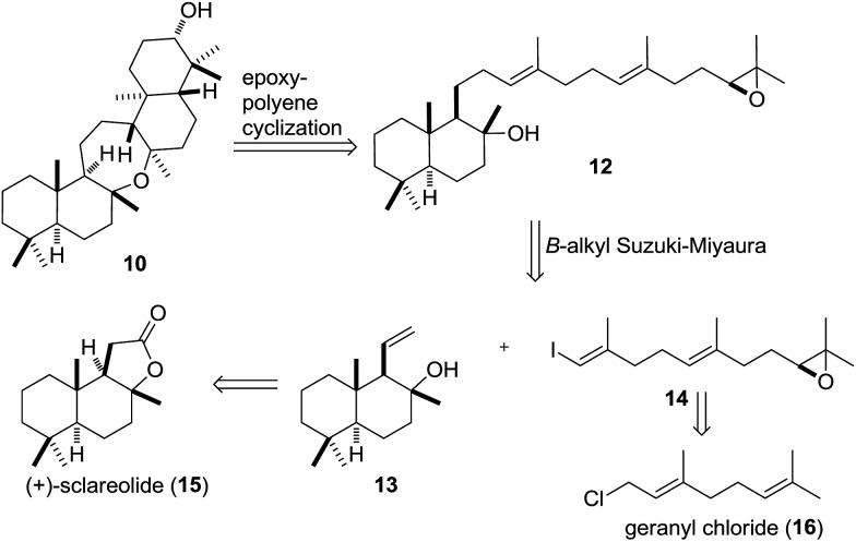 Scheme 2