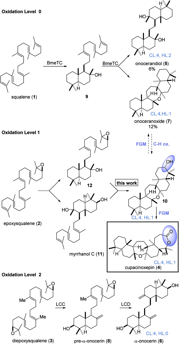 Scheme 1