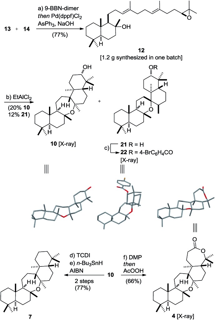 Scheme 5