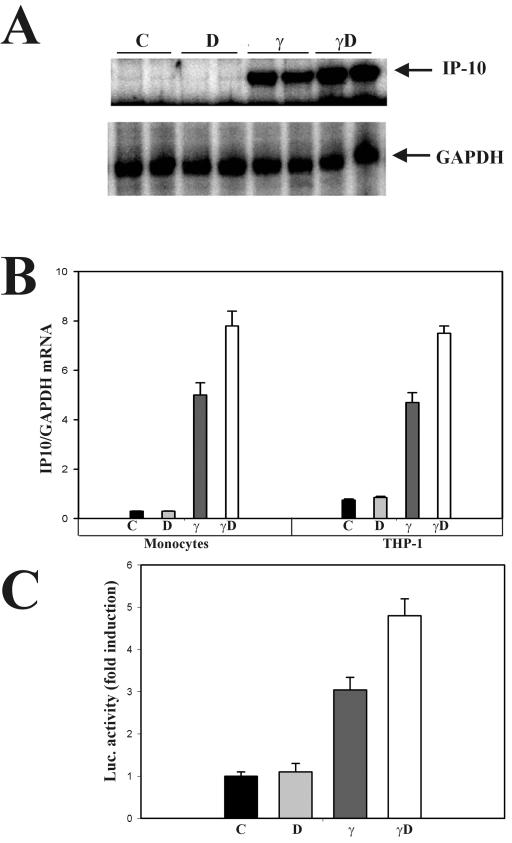 FIG. 6.