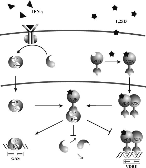 FIG. 7.