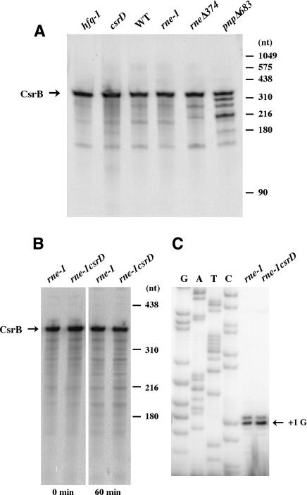 Figure 4.