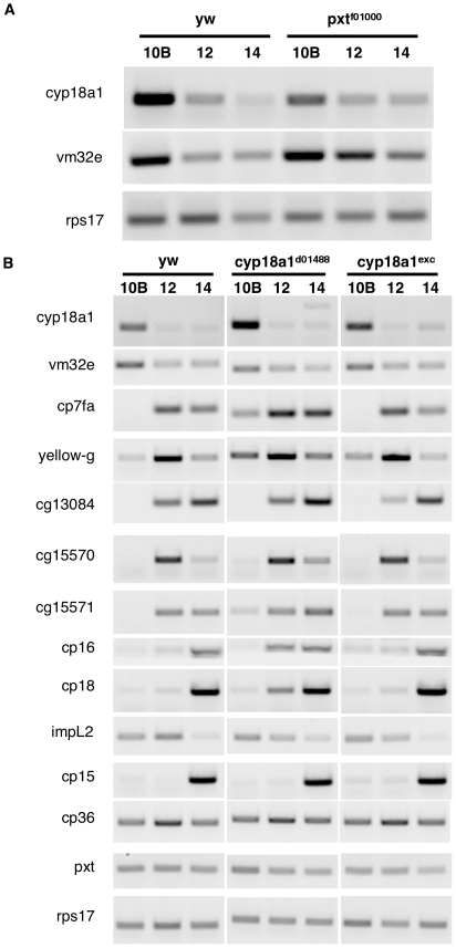 Figure 6