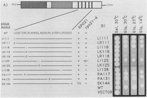 graphic file with name molcellb00048-0041-a.jpg