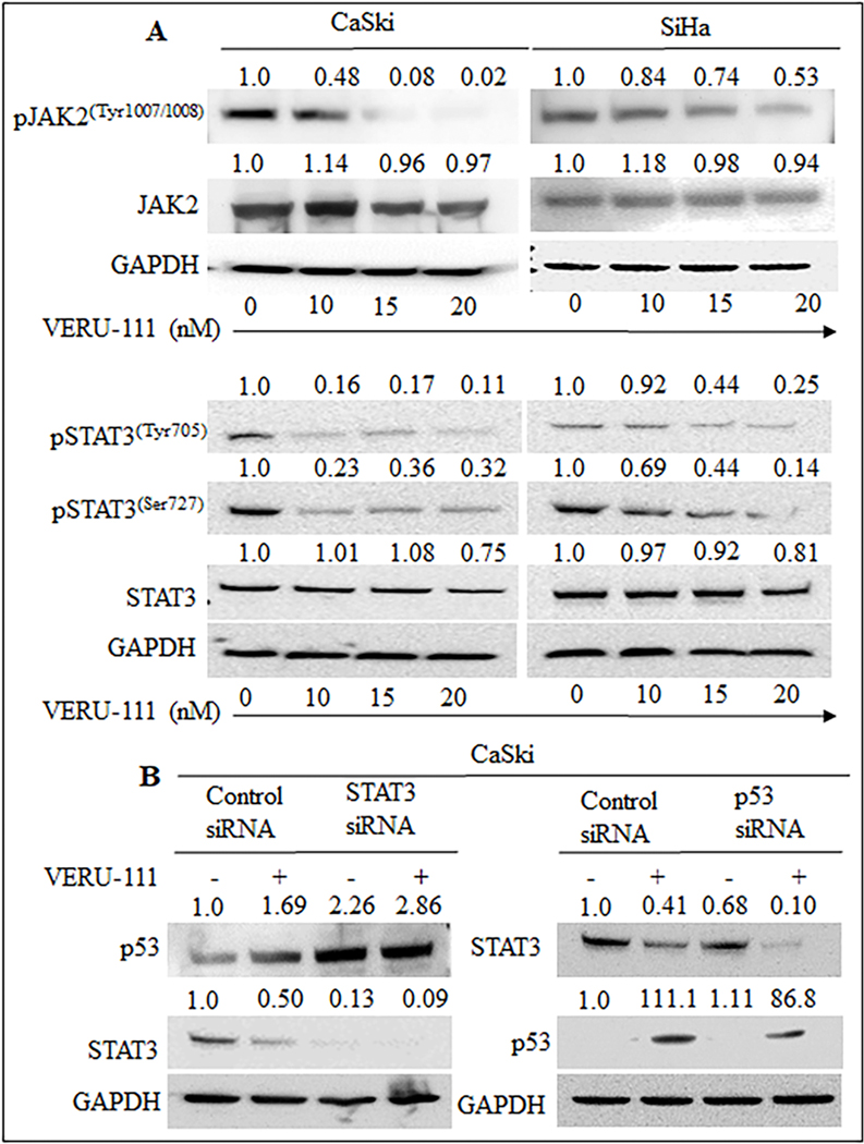 Figure 3: