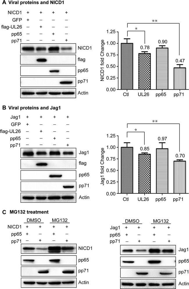 FIG 6