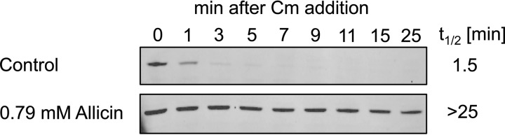 FIGURE 10.