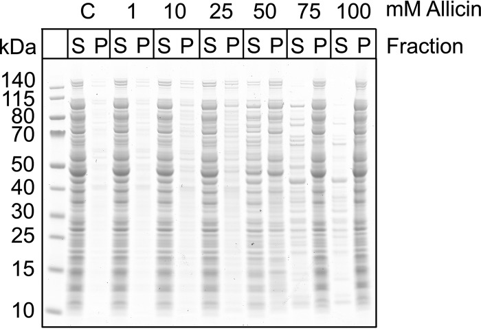 FIGURE 9.