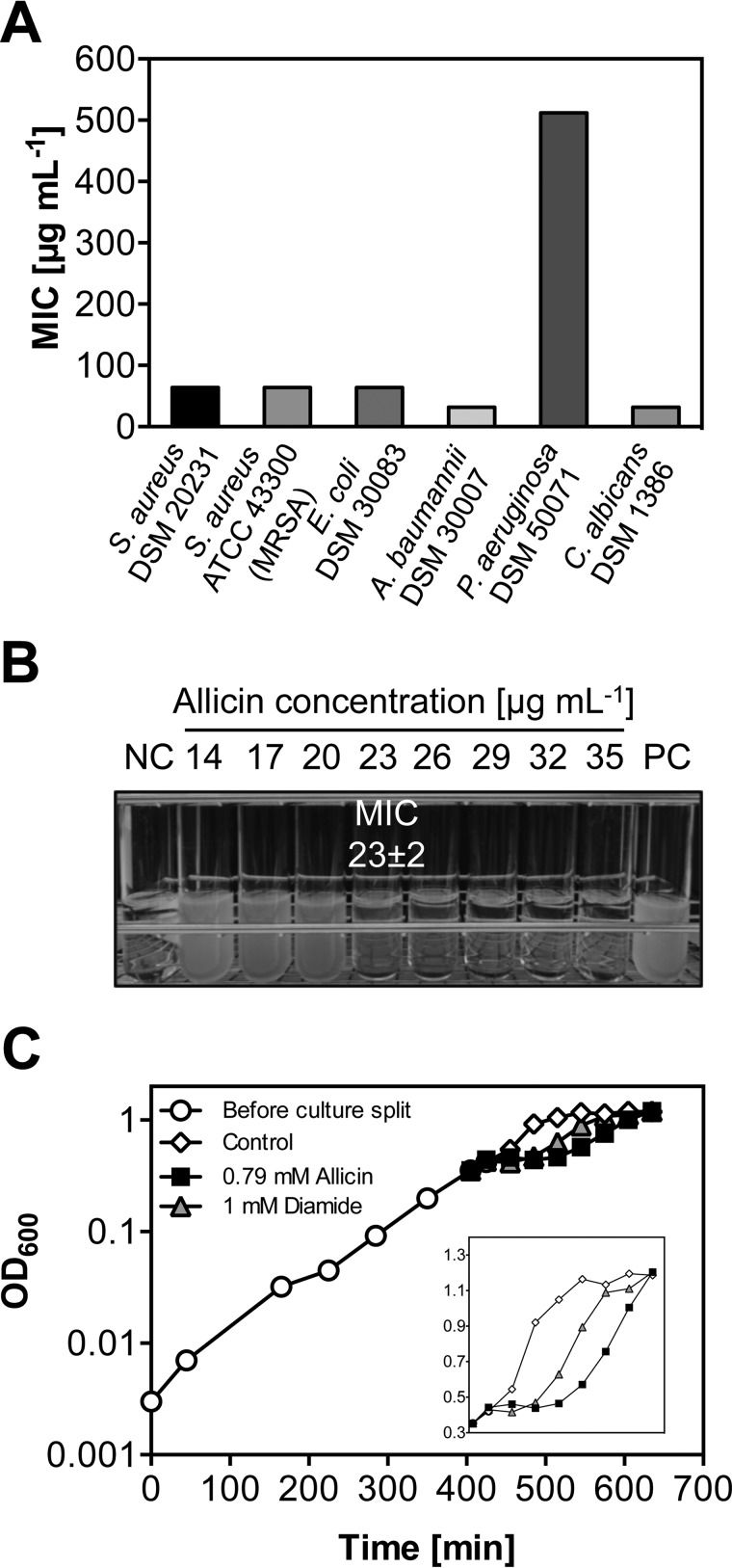 FIGURE 2.