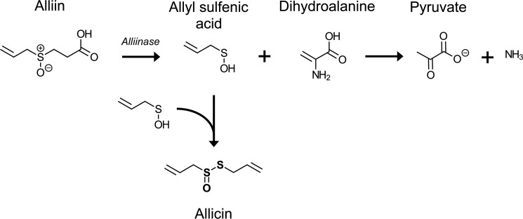 FIGURE 1.