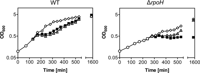 FIGURE 11.