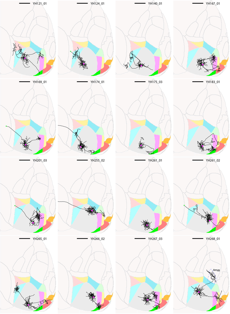 Extended Data Figure 3: